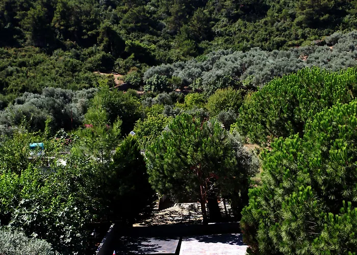 Keyf Ξενοδοχείο Guzelcamlı